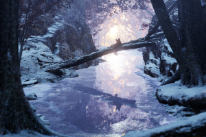 球迷的爱！2026世界杯比分直播，现场氛围燃爆