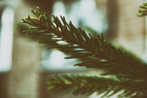 新科亚洲杯得主，2026世界杯小组赛能走多远