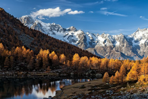 爆冷！穿越火线电竞世界杯惊现“以下克上”，黑马搅局