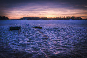 心潮澎湃！2026世界杯达拉斯赛区的球迷狂欢！